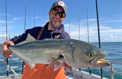 Bluefish: A Guide to Catching and Eating Blues .